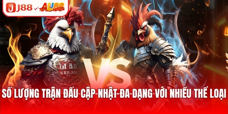 Số lượng trận đấu cập nhật đa dạng với nhiều thể loại