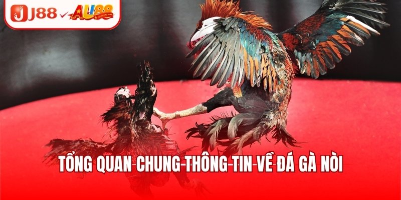 Tổng quan chung thông tin về đá gà nòi